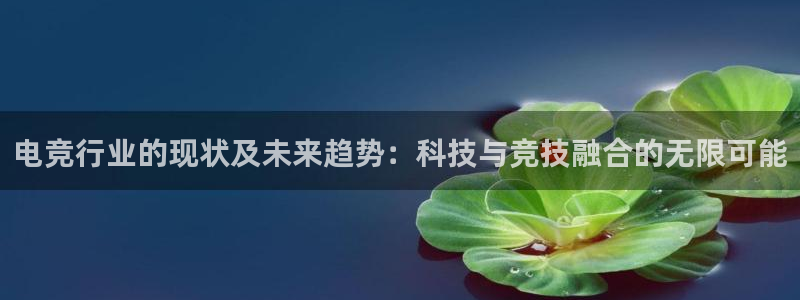 乐鱼电竞下载：电竞行业的现状及未来趋势：科技与竞技融合的无限可能