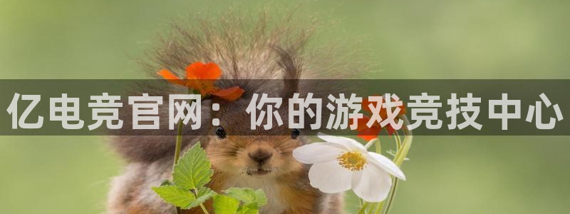 乐鱼电竞下载：亿电竞官网：你的游戏竞技中心