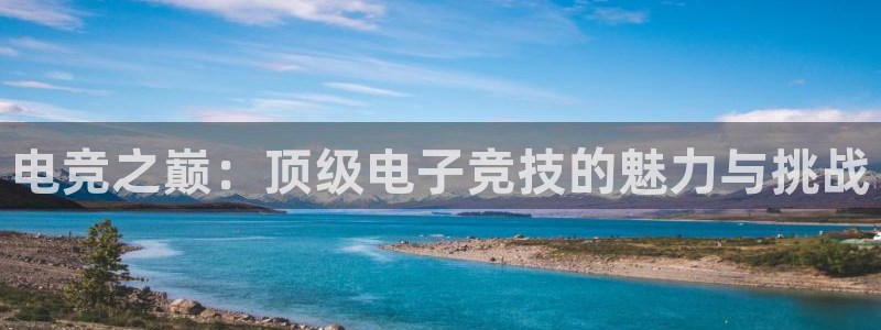 乐鱼电竞app下载：电竞之巅：顶级电子竞技的魅力与挑战