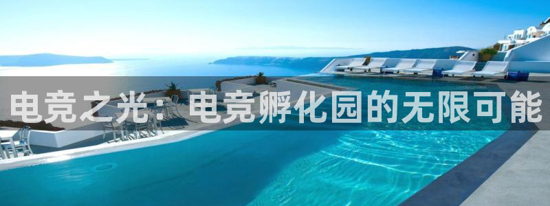 乐鱼电竞app下载：电竞之光：电竞孵化园的无限可能