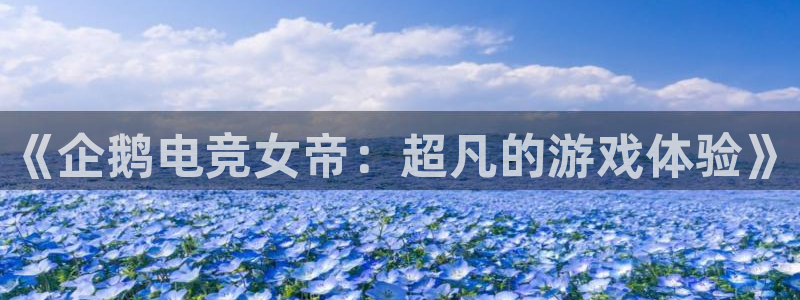 乐鱼电竞网站：《企鹅电竞女帝：超凡的游戏体验》