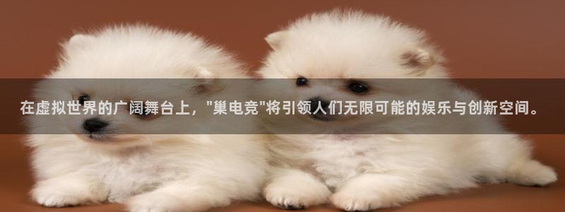 乐鱼电竞官网：在虚拟世界的广阔舞台上，\