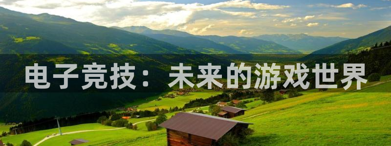 乐鱼电竞平台：电子竞技：未来的游戏世界