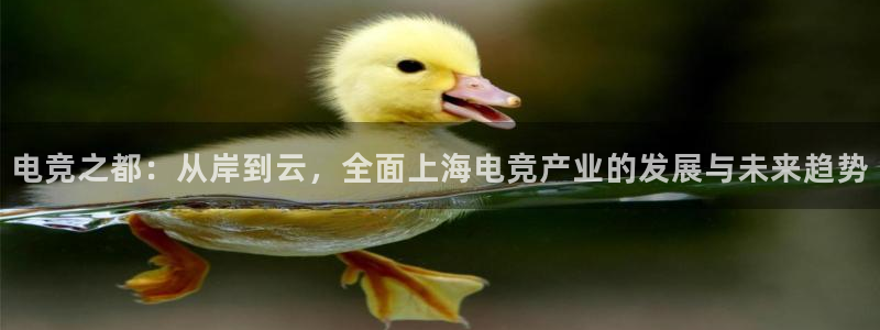 乐鱼电竞网站：电竞之都：从岸到云，全面上海电竞产业的发展与未来趋势