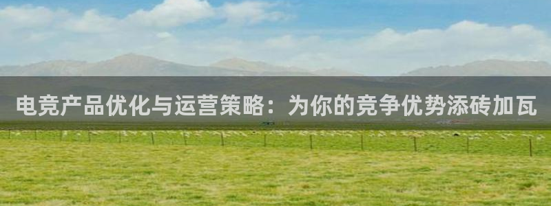 乐鱼电竞官网：电竞产品优化与运营策略：为你的竞争优势添砖加瓦